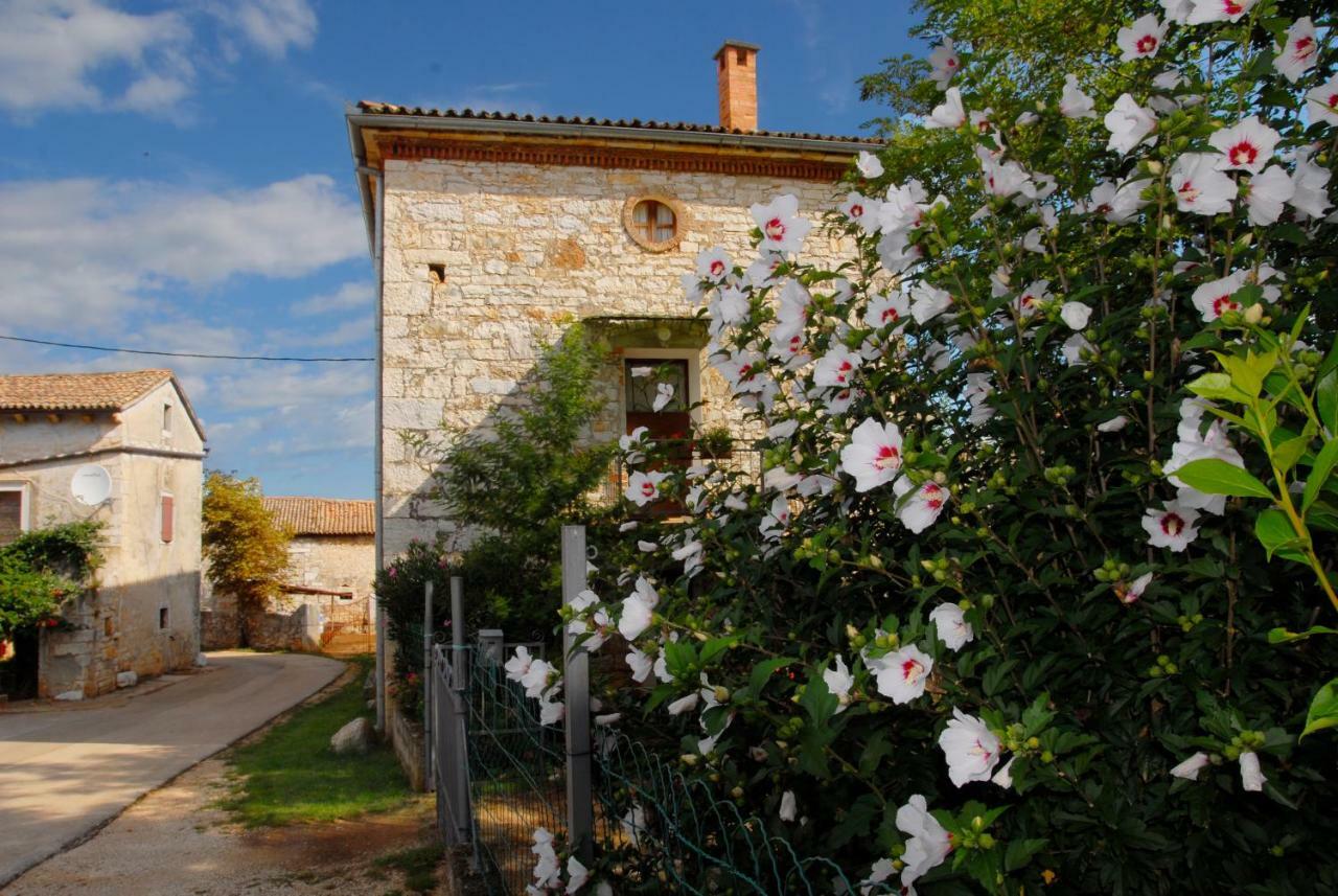 Nature House Jasenka Nova Vas  Exterior photo